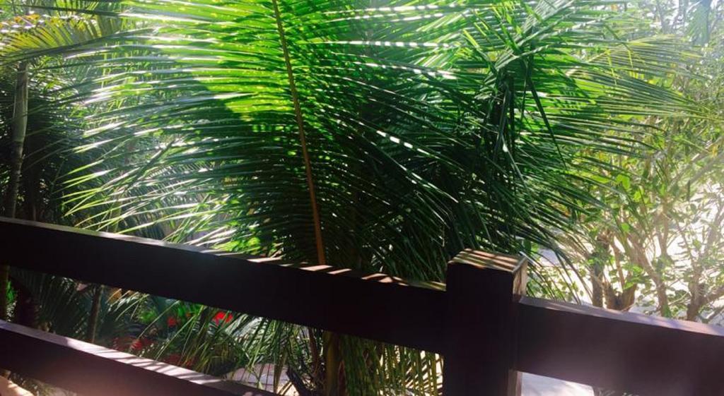 Flat Amarilis - Flat Lindo Com Varanda *